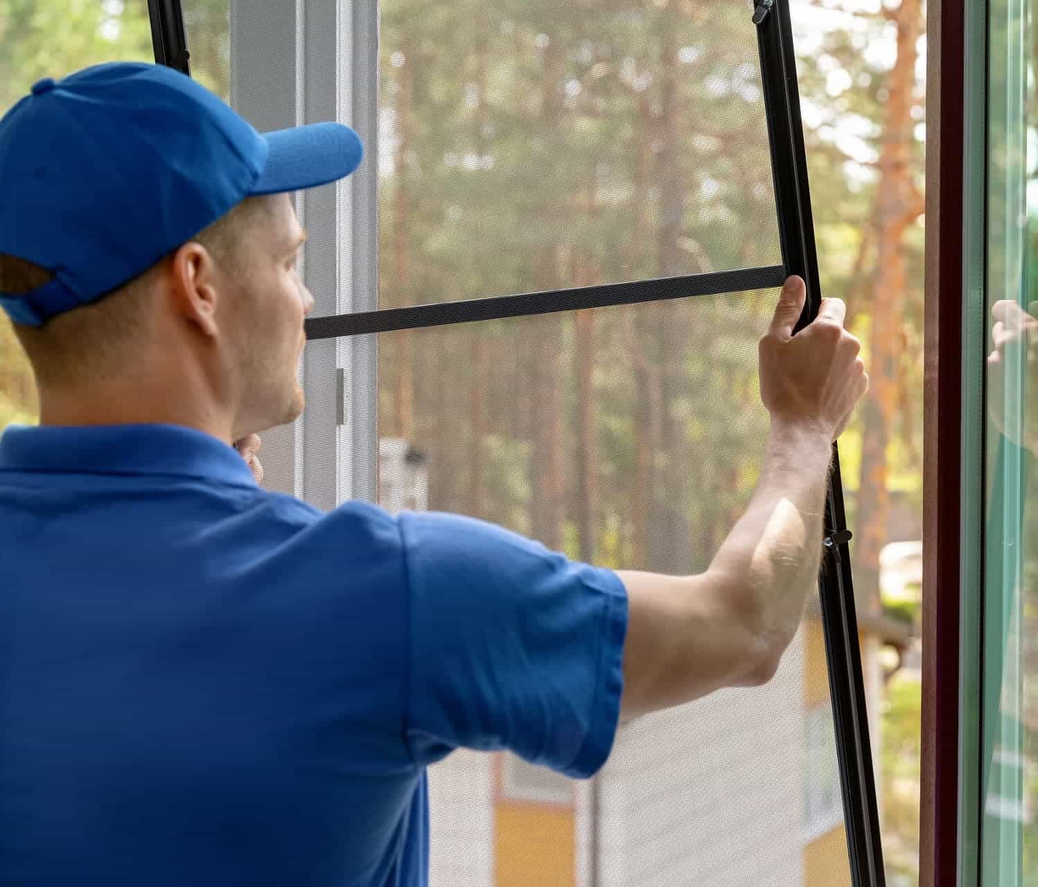 Hangi Sinekliği Neden Almalıyım